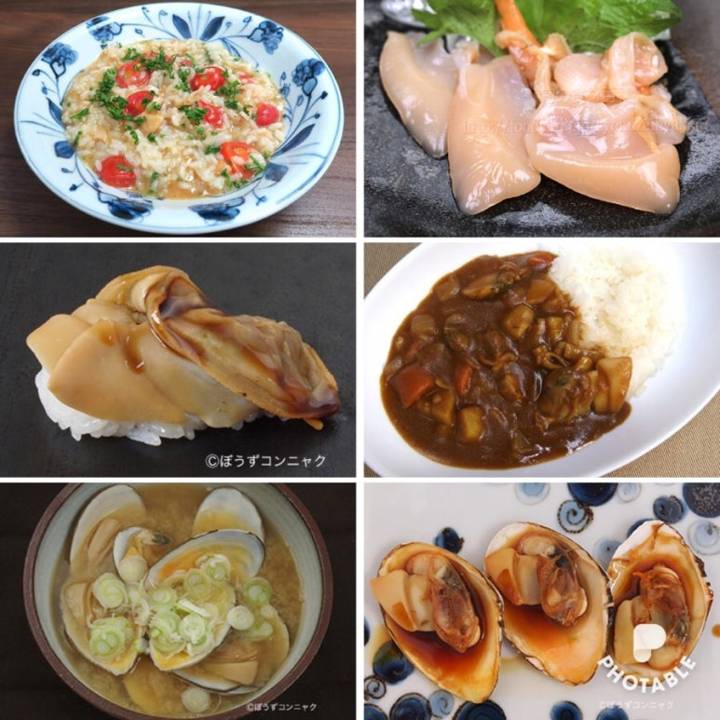 접시조개
