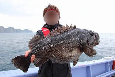 조피볼락