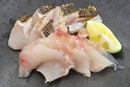 조피볼락