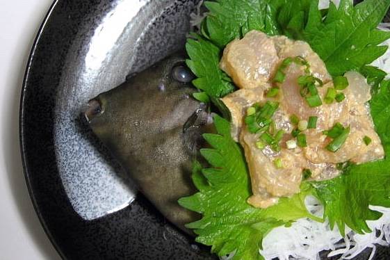 쥐치