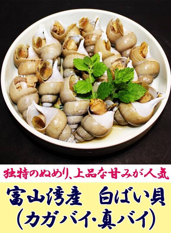 큰구슬우렁이