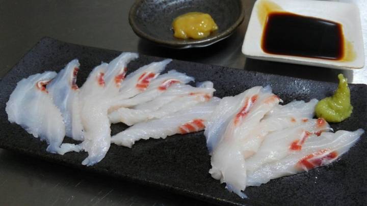 까치상어