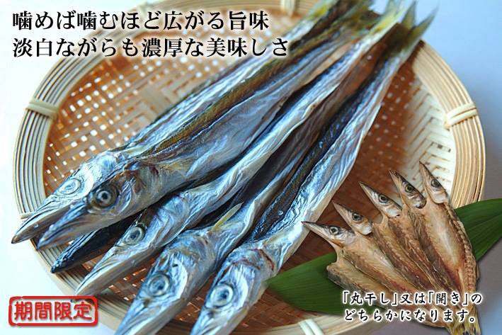 꼬치고기