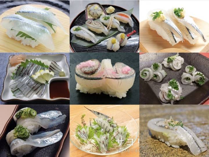 꽁치