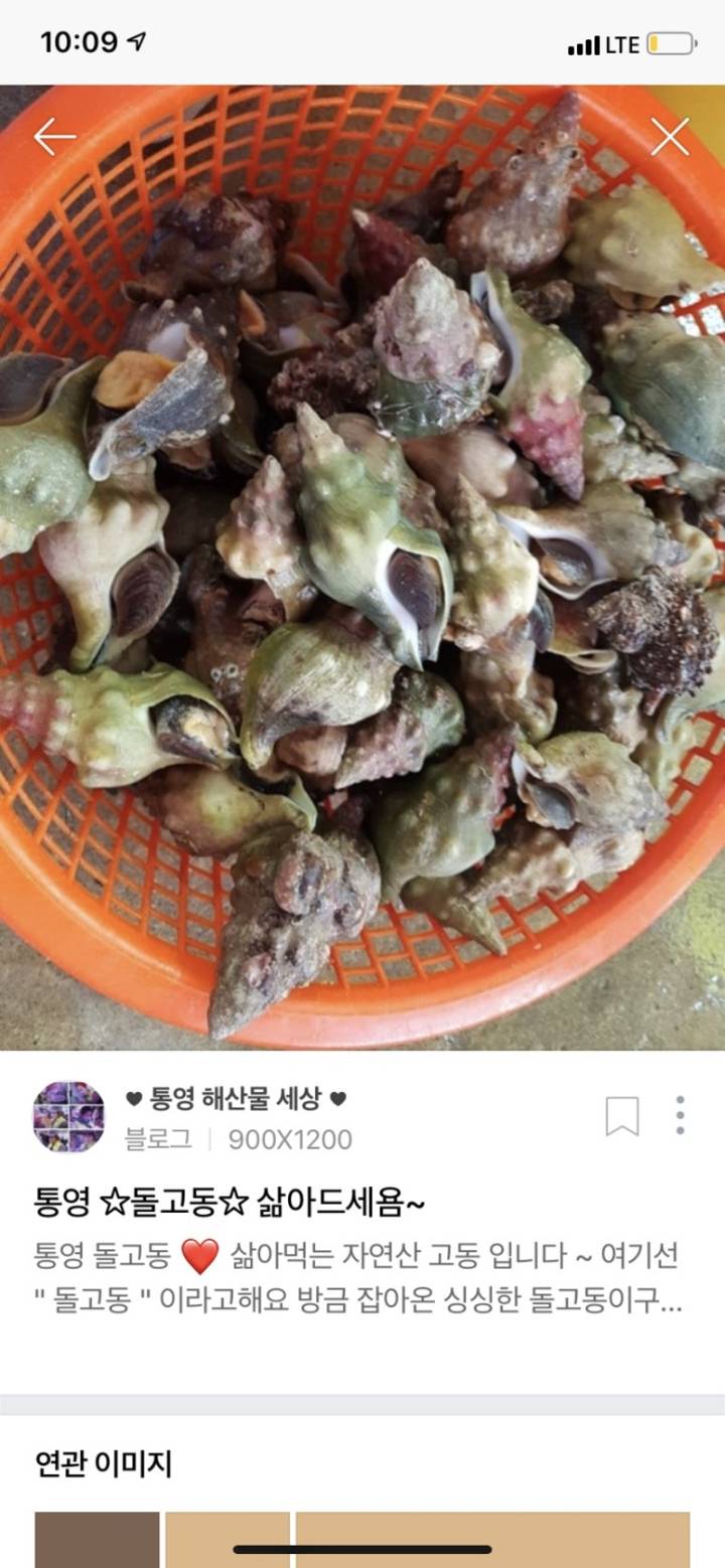 매끈이고둥