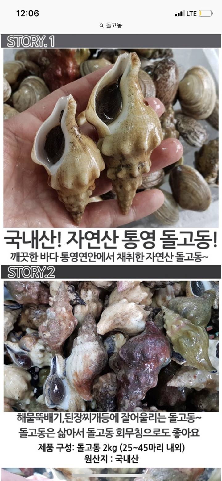 매끈이고둥