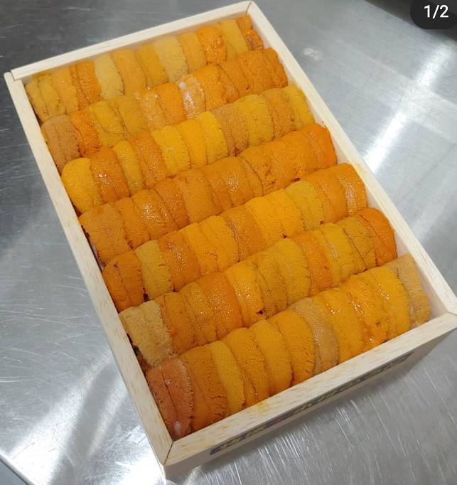 말똥성게