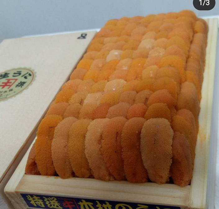 말똥성게