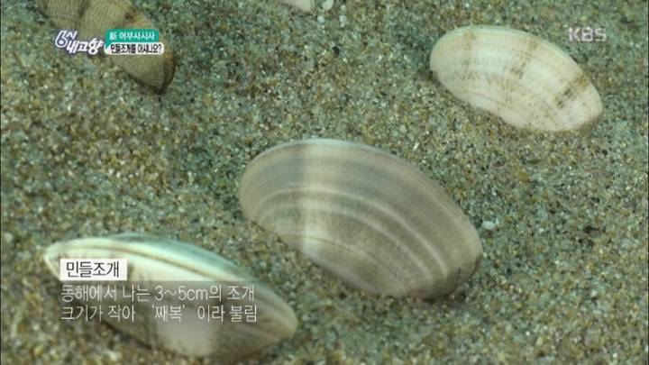 민들조개