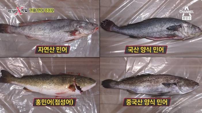민어