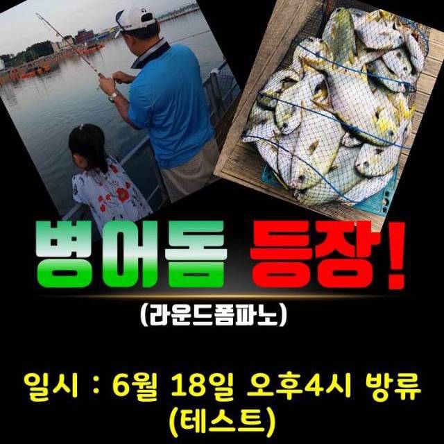 무점매가리