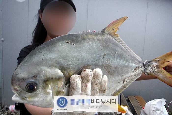 무점매가리