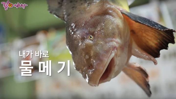물메기