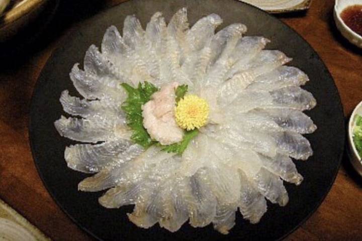 문치가자미