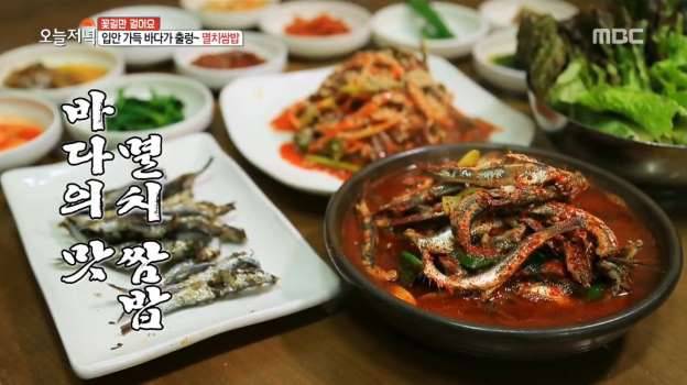 멸치과