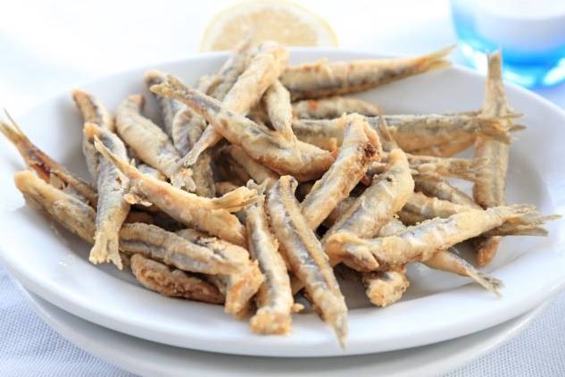 멸치과