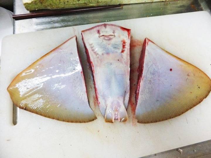 나비가오리