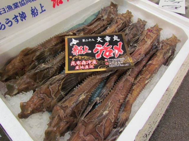 날개줄고기