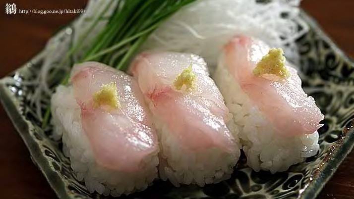 노랑볼락