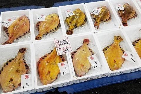 노랑가자미