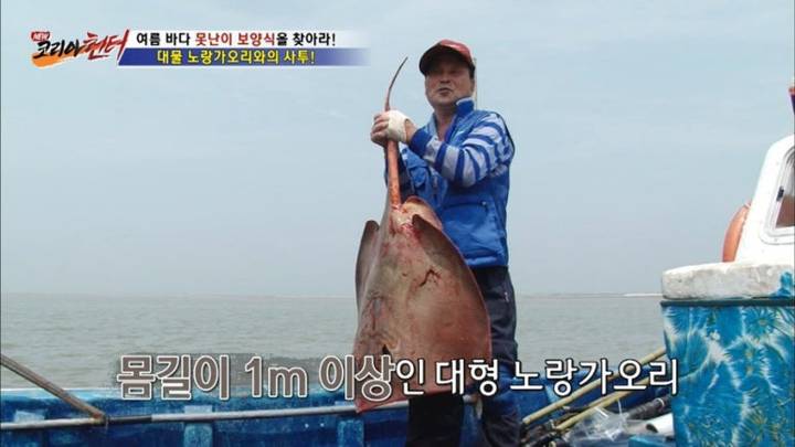 노랑가오리