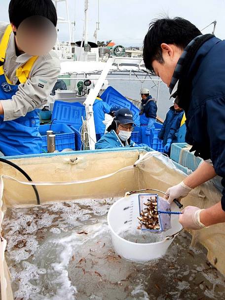 눈볼대