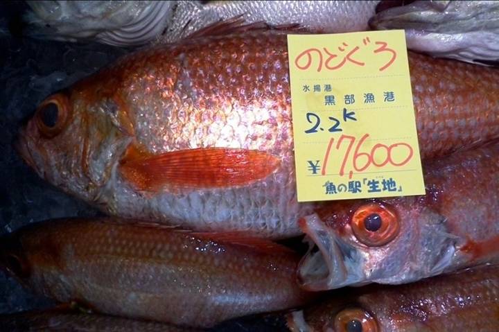 눈볼대
