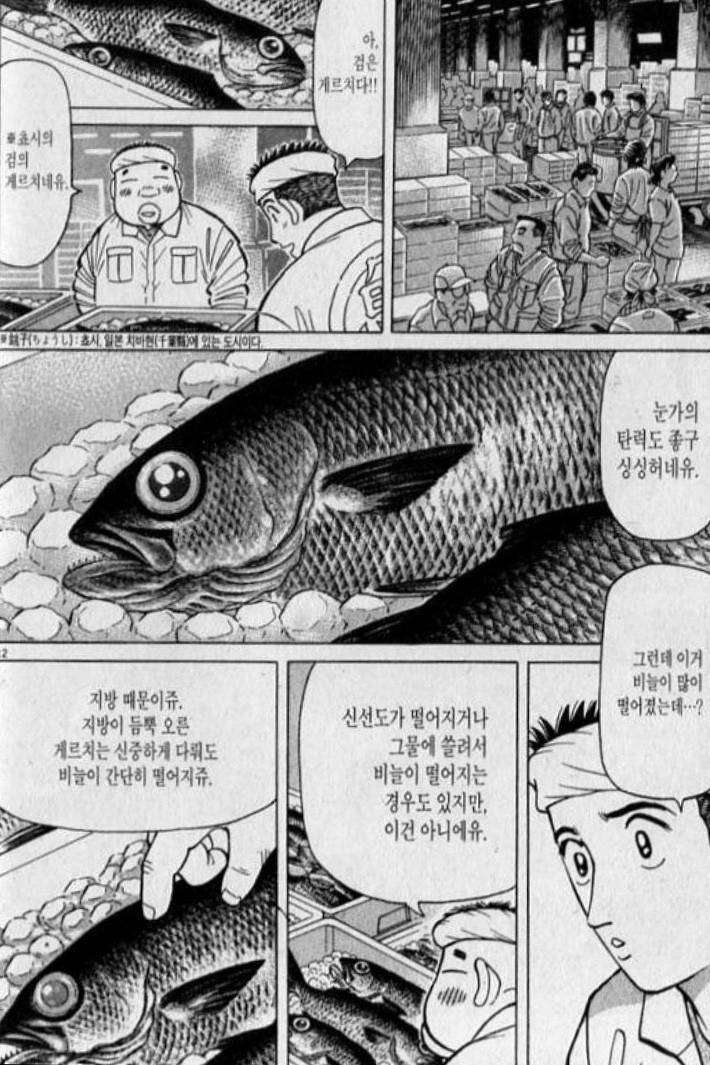 눈볼대