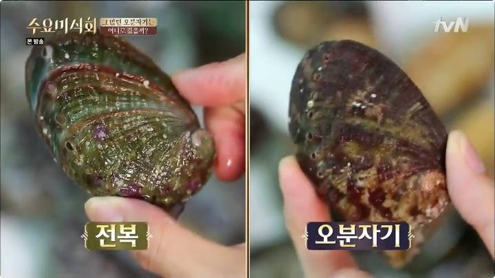 오분자기