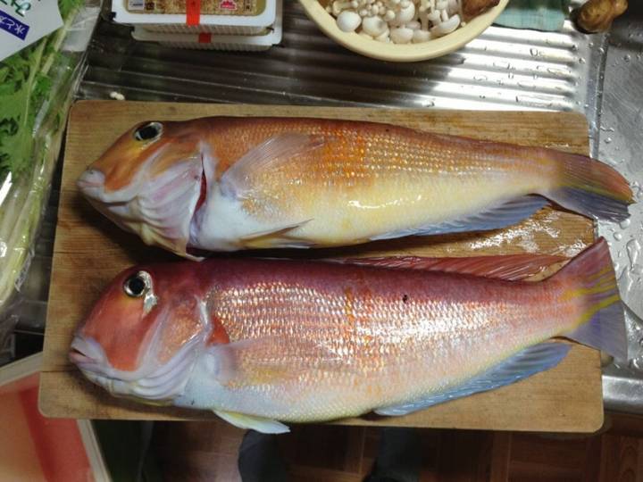 옥돔