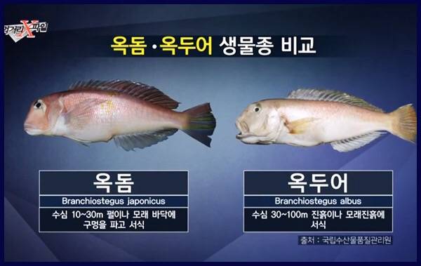 옥돔