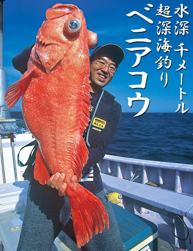 오오사가