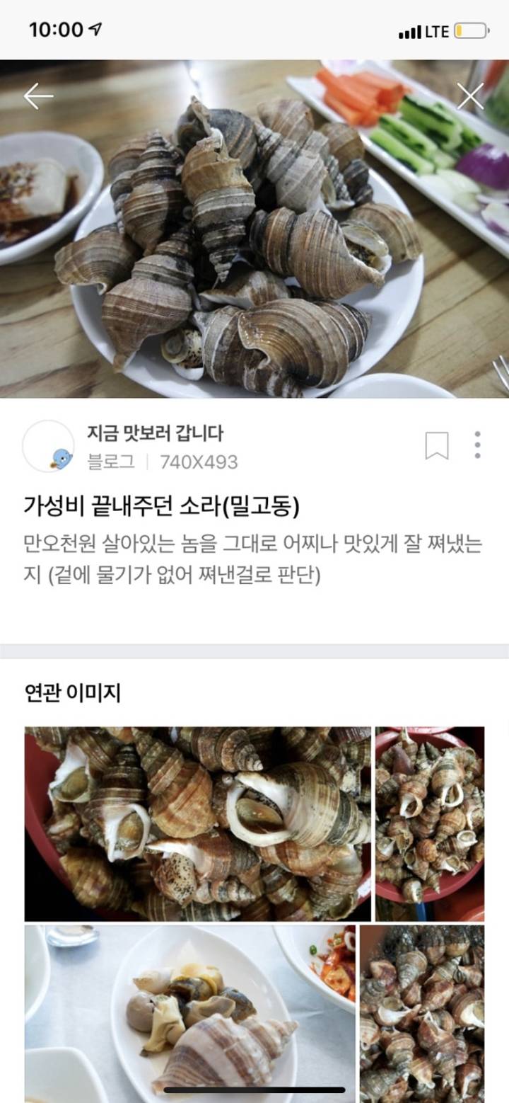 세고리물레고둥
