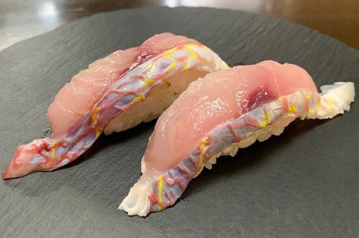 실꼬리돔