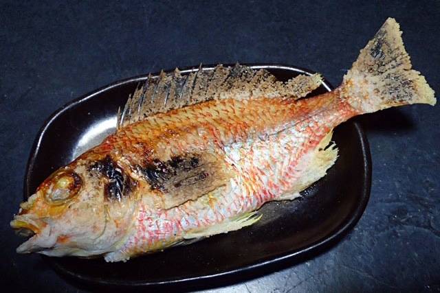 실꼬리돔