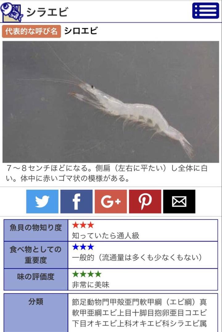 쌀새우