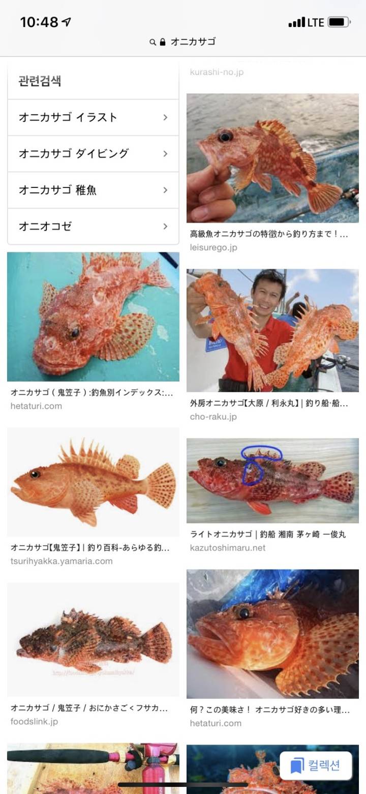 쑥감펭