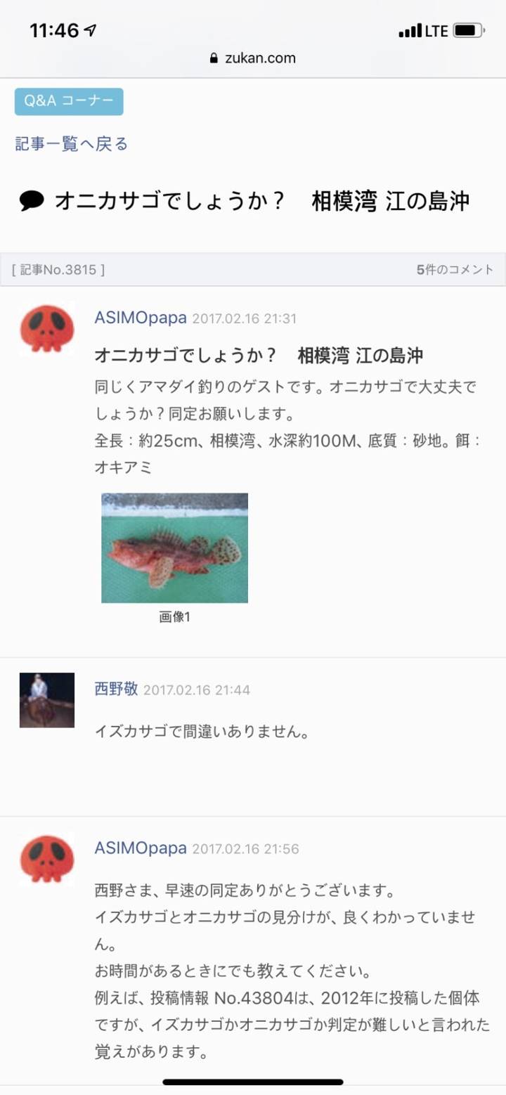 쑥감펭