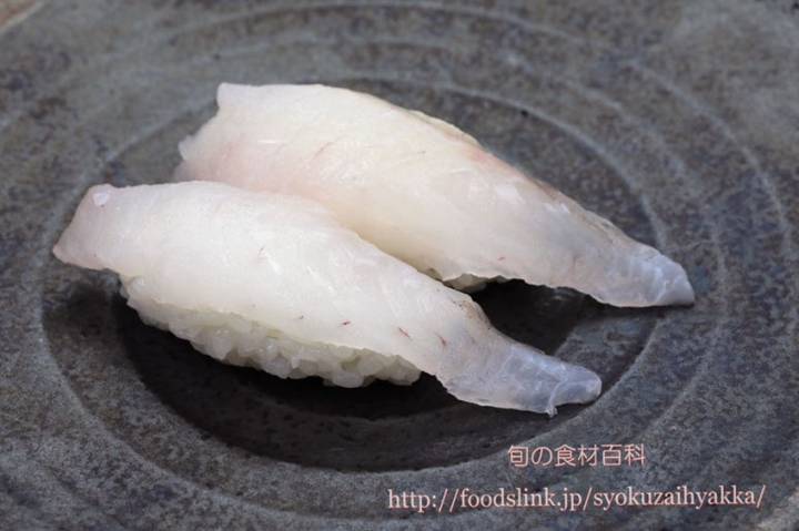 쑥감펭