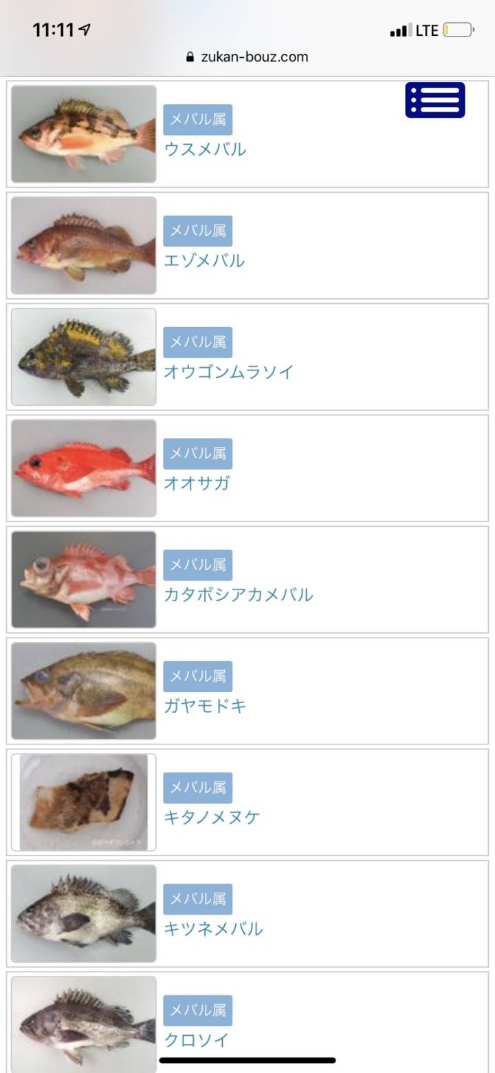 탁자볼락