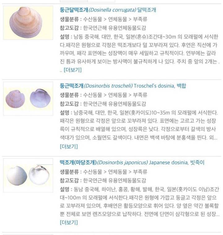 떡조개