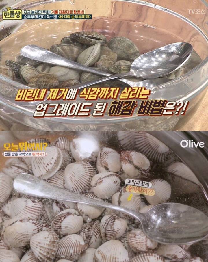 떡조개