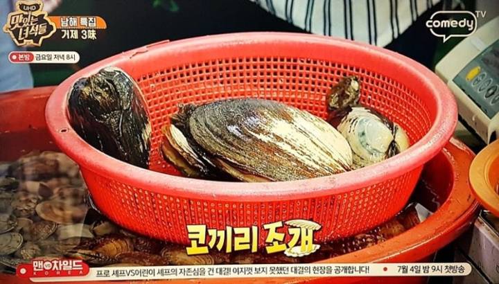 왕우럭조개