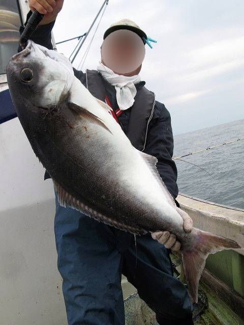 연어병치